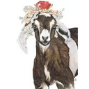 Tea Towel-Goat Cotton Four Sack