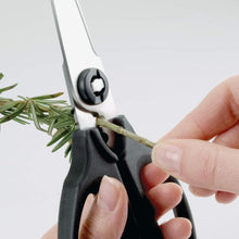 Load image into Gallery viewer, GG Kitchen &amp; Herb Scissors
