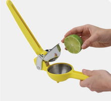 Load image into Gallery viewer, Citrus Juicer Cast Iron Company
